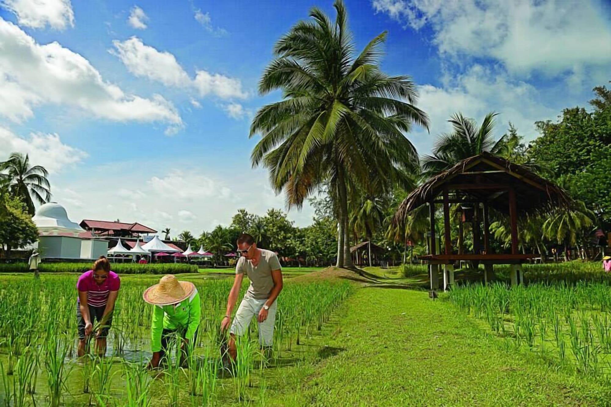 The Gemalai Village Pantai Cenang  Exterior photo